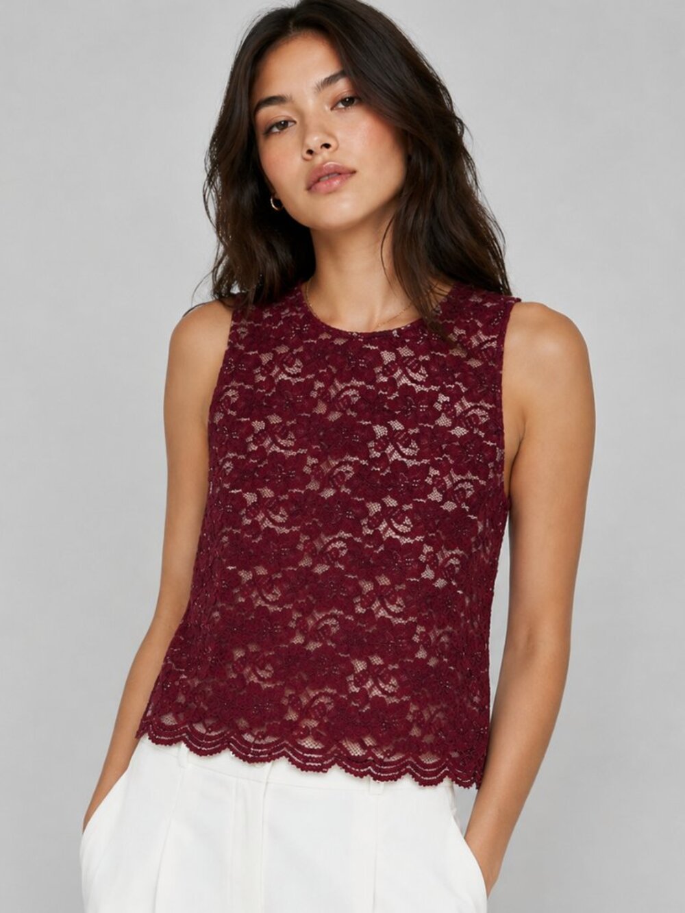 Aritzia Babaton Koen Lace Top